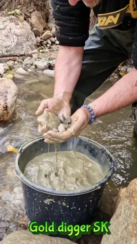 Panning for Gold like a Pro - You Won't Believe What I Found!  #GoldPanning #GoldProspecting #GoldNuggets #DIYSluice #TreasureHunting #GoldMining #Prospector #NatureAdventure #OutdoorHobby #PanningForGold #GoldRush #SluiceBox #FindGold #GoldDigger #StreamPanning #AdventureTime