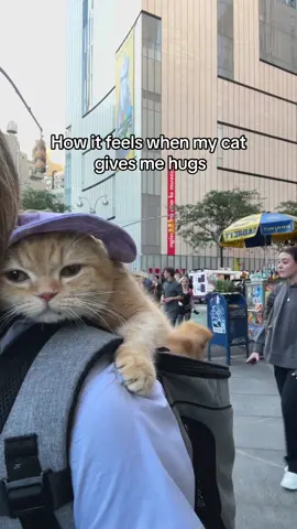 The best feeling! Thanks Sponge Cake 😊#catsoftiktok #PetsOfTikTok #cats #foryoupage #foryourpage #catlover #newyork #hugs 