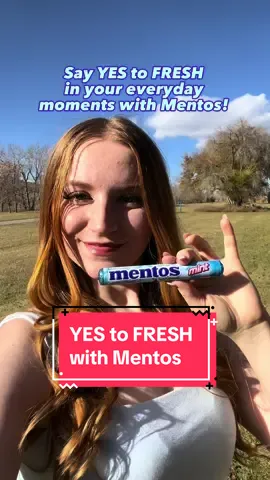 Say YES to FRESH with Mentos! Freshen up your everyday moments with Mentos. Let the fresh mint flavour awaken your senses and give you that extra boost to your day or night! @mentoscanada is available across Canada and in the link in my bio! #YESTOFRESH #sponsored #ad #yestomentos #mentos #mentoschallenge #refreshyourday #everydaymoments #mintyfresh #mintyfreshness #mentoscanada 