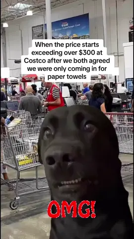 Every stinking time we step in that store… 😂😂🙈😩  What store do you lose all consciousness at?? 🤷🏼‍♀️😂