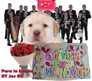 Para que lo dediquen mis panas jdkajsna (no me hago responsable por rechazos y/o traumas psicológicos :>)| aunque no le encuentro lógica al video que es una canción de banda y hay un grupo de mariachis de fondo xd | ¿Quieren ser mis novias @Yamilet @Pulquito de Tuna @Zulyy👾💜 ?🐦🍷💖 || #meme #xd #👻 #shitposting #shippost #quieresserminovia #banda 