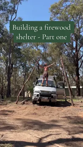 A FIREWOOD SHELTER 🪵 Almost complete, I just need to keep making dead grass tree leaf Pom poms to layer on for the roof and some shelves to keep wood off the ground.  This serves two purposes which are; 1. Keep wood dry in winter 2. Wood storage for the massive land clear up I’m currently doing 🤦‍♀️  I should probably also invest in a ladder hey? 😋 #DIY #doityourself #natural #recycled #firewood #shelter 