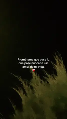 ℳ ❤️‍🩹 #foryou #viral #fyp 