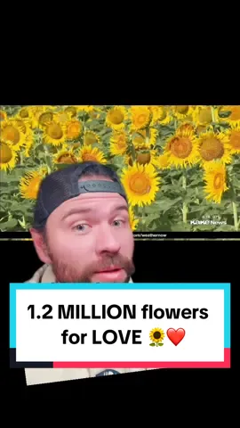 We can all take a little lesson of LOVE from these two ❤️🌻 #Love #sunflower #kansas #sunflowers #anniversary #fyp #foryourpage #goodnews #positivity 