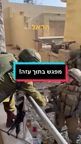 בין הלוחמים הרבים שנלחמים ברצועת עזה, לוקחות חלק עוד עשרות רופאות, חובשות ופראמדיקיות שנמצאות לצד הלוחמים בחוד החנית של הלחימה. במהלך הערכת מצב שקיים הרמטכ״ל בעזה, הוא פגש את אחת מהן, סרן הראל, קצינת רפואה חטיבתית. 