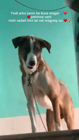 Aru laghi holau timi janwar  🦋❤️tara mero laghi mero sansar hau 🌈♥️ Loe🥺