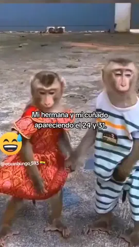 😁😅🤣 #ecuador #cuñado #hermana #navidad #24dediciembre #31dediciembre #ecuashungo #ecuashungo #ecuatorianosporelmundo🇪🇨🌏💫 #monitos #humor #mono #monos 