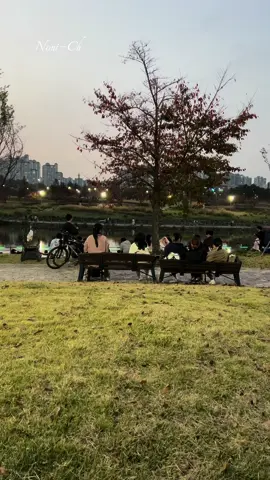 The Beauty Of Korea Evening Views” #🇰🇷 #seoul #korea #seoullife #foryou #noni147 #nonich #islamabad #wintervibes #korean #sahiwal #islamabad #lahorepakistan 