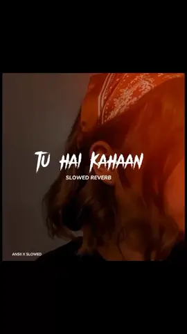 Tu hai kha 🥹❤️‍🩹#fyp #foryou #foryoupage #viral #viralvideo #goviral #aestheticedits #slowedandreverb #song #trending #tiktokpakistan 