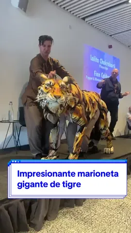 Marioneta Una impresionante  marioneta de tigre  Hecha por el artista  Finn Caldwell, capturo  la atención del público  En una presentación  de la adaptación de  la Novela “La vida de Pi”  De la escritora  Lolita Chakrabarti Los movimientos  realistas impresionaron  a los presentes en la sala. #marioneta #marionetas #tigre #dimenews 