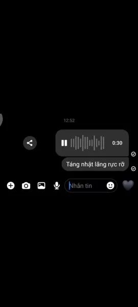 Táng nhật lãng rực rỡ. #cover #火红的萨日朗 #chinasong #coverdouyin #coversong #fyp #xh