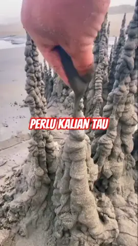 Fakta unik dunia #faktaunik #faktaduniaunik1