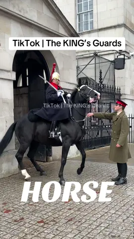 SHOCKING MOMENT!! Horse has a Meltdown, Lady Guard incredible horsemanship, keeps horse under control.  #horseguardsparade #changingoftheguards #thekingsguards #horse #foryoupage #tiktokviral #tiktokbeta #fyp #foryou #fypシ #horsemanship 