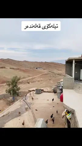 خۆشترین ژیان 🥹🫀  . #imravo✅#foryou #foryoupage #viral#explor #fyp #tutorial #LearnOnTikTok #tiktok #لایکوفۆڵۆم_بکەن_بۆبەردەوام_بون #tiktokactive #تیلەکۆی قەلەندەر#زەردەلیکاو #دەربەندیخان_سەیدسادق_کەلار_سیروان #دەربەندیخان 
