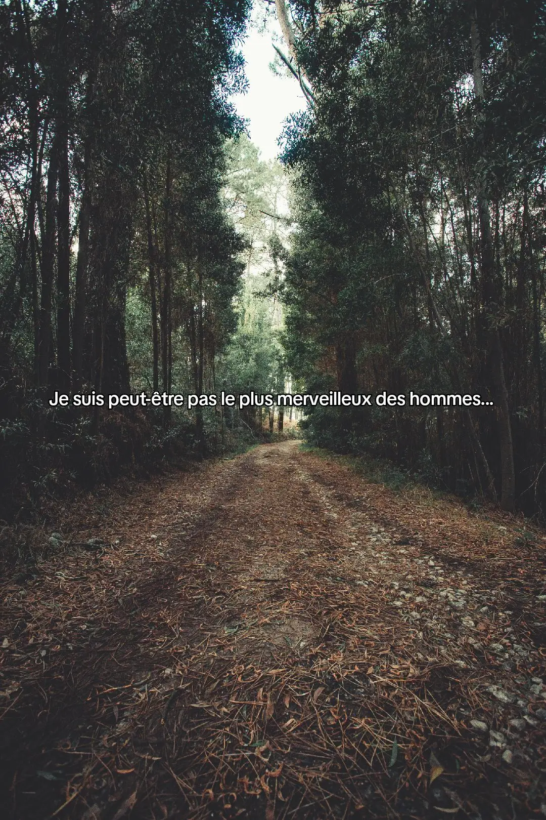 Je suis peut-être pas le plus merveilleux des hommes mais ce qui est sûr c'est que je t'aime de tout mon cœur, je t'en fais la promesse ! 💕 #Amour #relation #citationamour #phrasedamour #promesse 