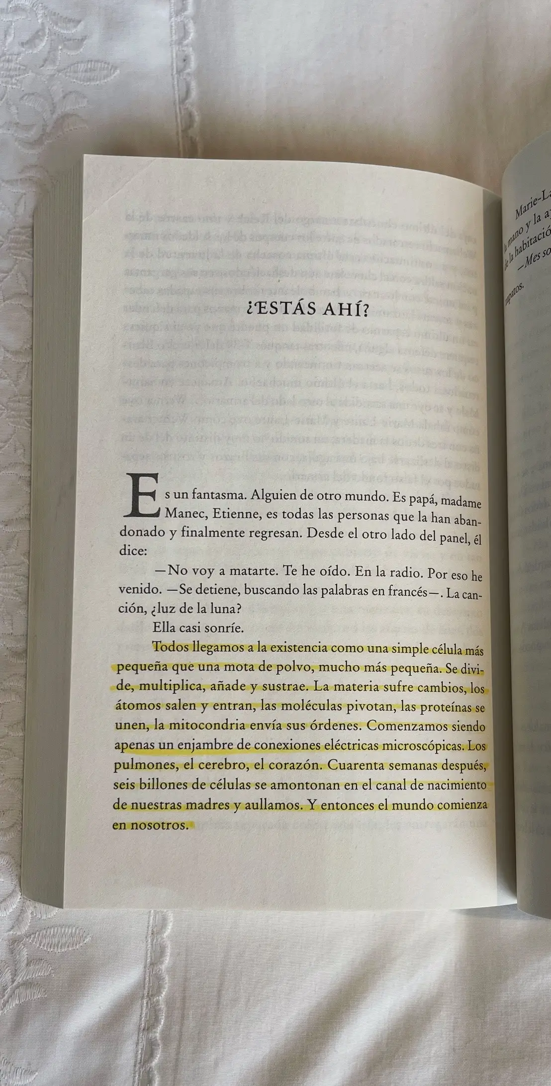 la última es mi favorita 🤍 #laluzquenopuedesver #thelightwecannotsee #anthonydoerr #netflix #BookTok 