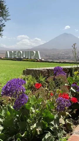 La vista desde el “Mirador Carmen Alto” es deslumbrante, su majestad el Misti es imponente desde donde se le mire estando en Arequipa. #arequipa #mirador #peru #viaje 