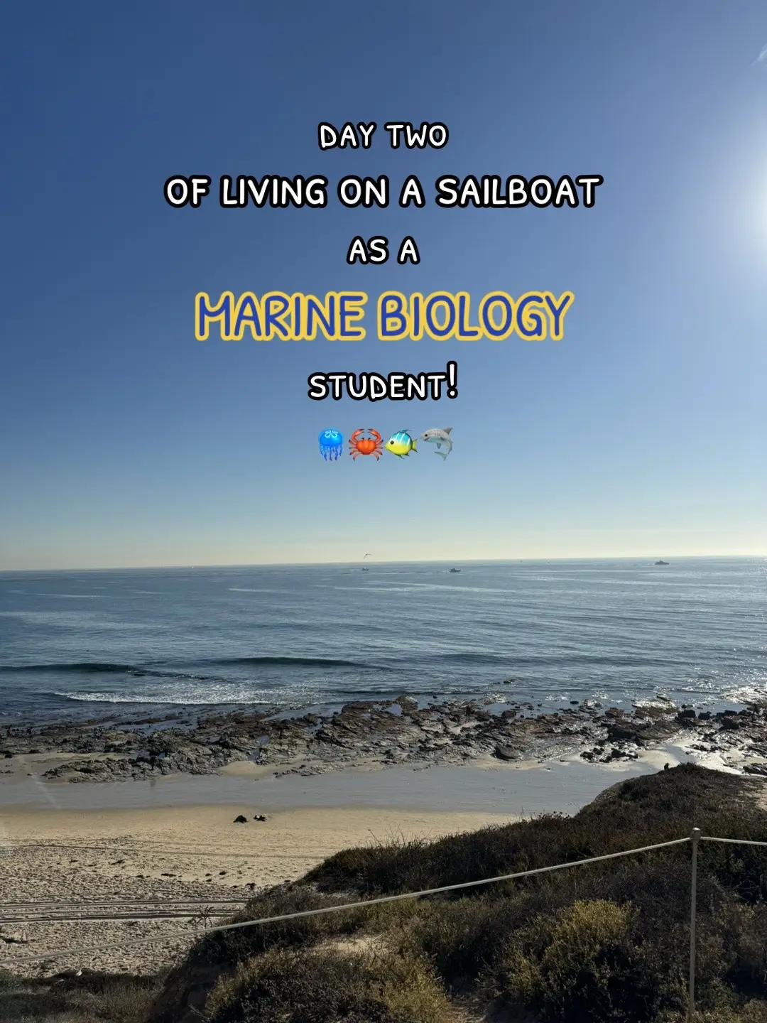 #sharks #marinebiology #marinescience #picturevlog #college #sailboat #ocean #dayinmylife #dayinthelife #marinebio #shark #octopus #california #la #crystalcove #tidepools #beach