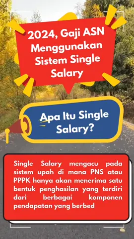 Tahun 2024 Gaji ASN Menggunakan Sistem Single Salary #gajiasn #gajipns #gajipppk #naikgaji #pppk #pns #singlesalary 