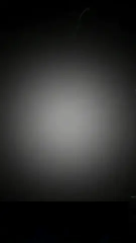 #CapCut 