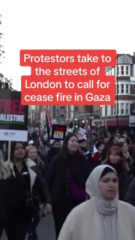 Protestors took to the streets of London to call for a ceasefire in Gaza.  Home Secretary Suella Braverman has been critical of the march. #ceasefiremarch #freepalestineprotest #londonprotest 
