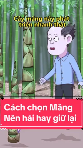 Cách chọn ma măng nên hái hay giữ lại #TikTokAwardsVN2023 #nongtraivuive #LearnOnTikTok #anhnongdancartoon #traicaybietnoi #kienthuc #hoathinh 