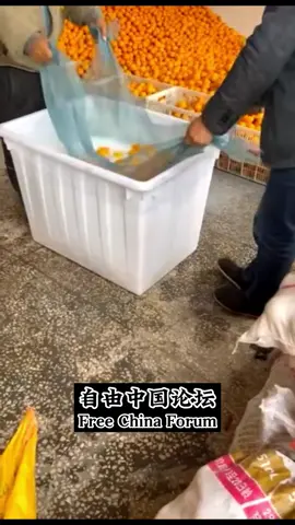 中共国不可言说的橘子保鲜“技术”  中国的食品安全问题完全是中共专制体制导致的。一方面中共特权阶层吃特供食品，有的甚至有自己的生产基地，另一方面中共专制政权，腐败盛行，官员们靠权力寻租获取不义之财，这样就使得食品监管流于形式，这样普通老百姓就只能吃没有安全保障的食品了。
