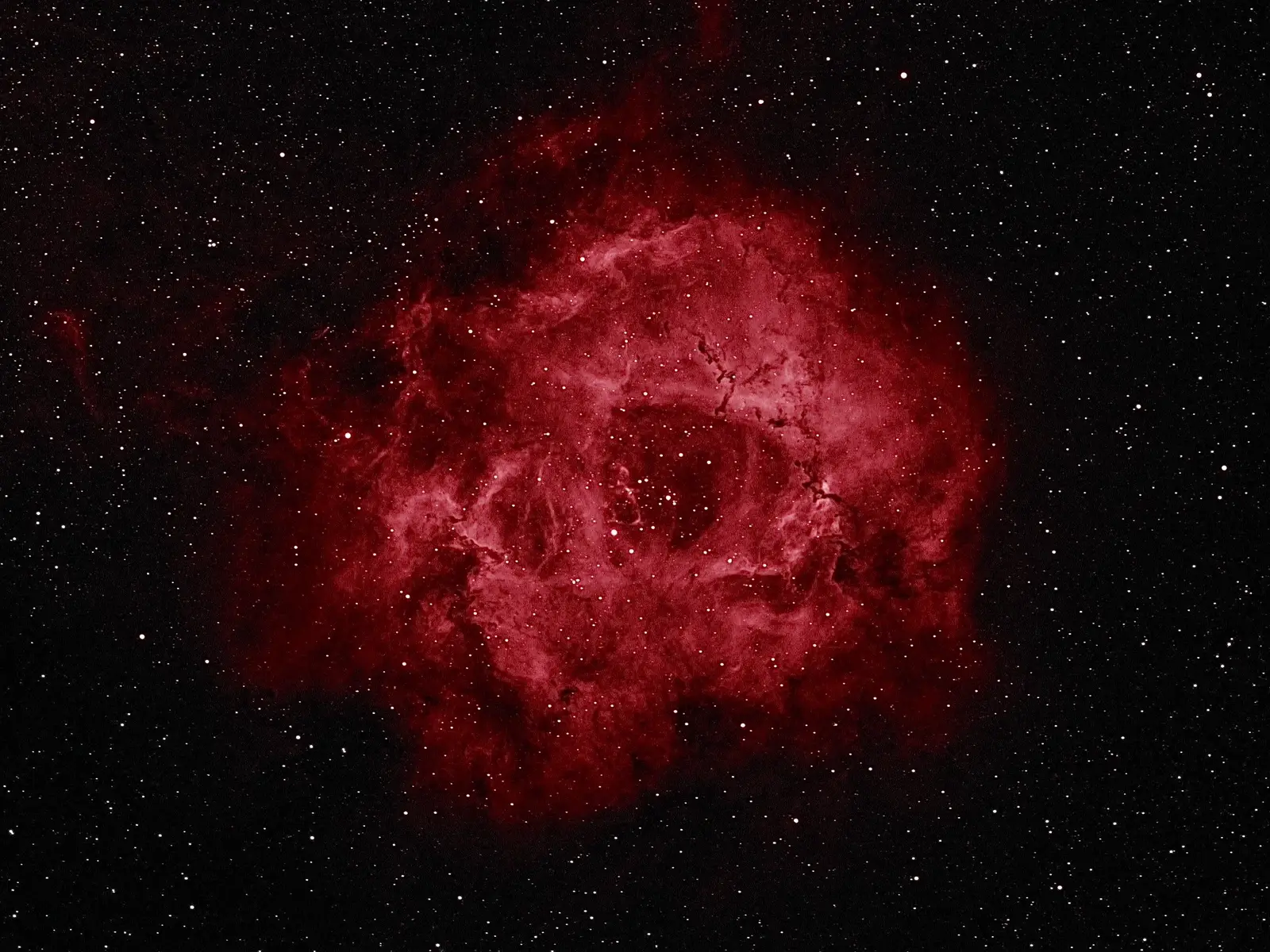 The Rosette Nebula is a huge star-forming region spanning 100 lightyears across and located 5,000 lightyears away. It can be seen in the Monoceros constellation in the winter months, located between stars Betelgeuse and Procyon. #spacetok #astronomy #space #spacetok #astro7e