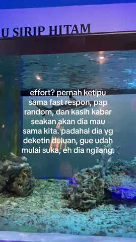 ya namanya juga penasaran doang #fastrespon #paprandom #wideawake #kattyperry 