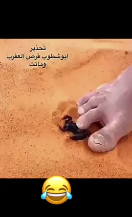#CapCut #عقرب #اكسبلور #fyp #foryou #مقاطع_مضحكة #foryoupage #viral #viralvideo #tiktok 