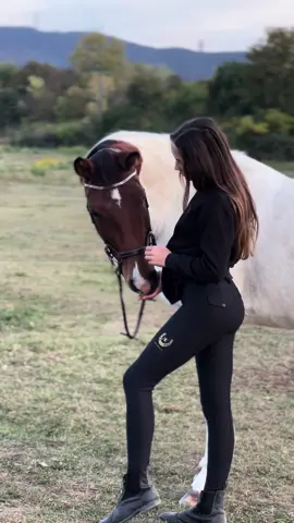 Real Equestrian ✨ #horses #horseontiktok #best #video #ever #fyp #fouryou #fouryoupage #virall #bestbrand #extrem #omggggg #fypシ゚viral 
