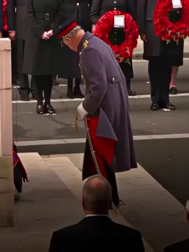 The first time was so nice, I had to do it twice #fyp #uk #britain #king #kingcharles #remembrance #armisticeday #princecharles #queenelizabeth #theroyalfamily