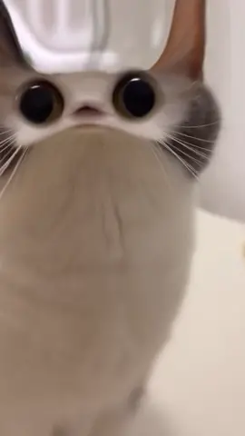 😳