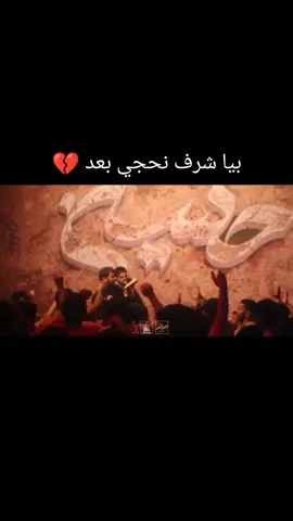 بيا شرف نحجي بعد 💔 #سيد_احمد_المنصوري  #سجاد_المحمداوي  #علي_اكبر  #موكب_حامل_اللواء  #اللهم_عجل_لوليك_الفرج  #هيئة_اولاد_علي_العراق_واسط 