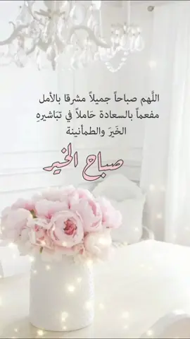 ‏اللَّهم صباحاً جميلاً مشرقا بالأمل   مفعماً بالسعادة حاملاً في تباشيرهِ   الخيرَ والطمأنينة #foryoupage #fypシ #viraltiktok #ستوريات_حزينة #عبارات_جميلة🦋💙 #tiktok 