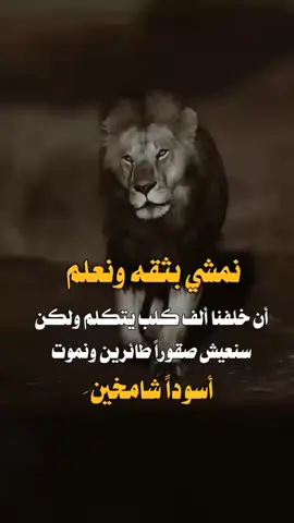نمشي بثقه ونعلم ان خلفنا الف كلب     #👍🏽  #trending         البرنس    دعم      حسابات                   #fypシ #forbaby #foryou 