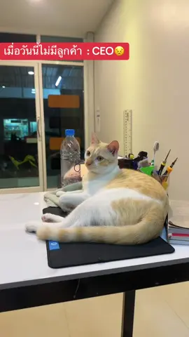 เงียบจัง #fyp #notebook #โน๊ตบุ๊ค 
