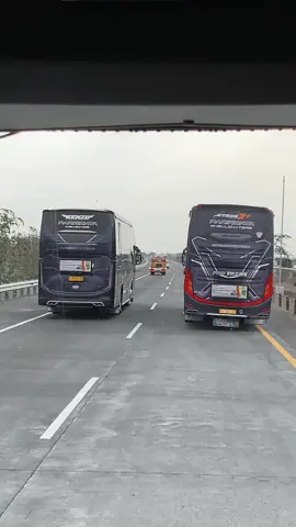 Lari tipis with rm elegank 🏁 #fypシ #bispariwisata #adiputro #videobus #hinorm280 #jetbus5 #phdtrans #phdtransnganjuk 