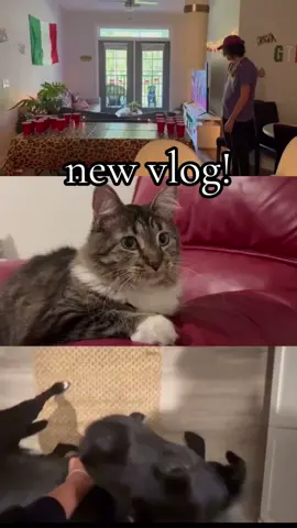 #Vlog #birthday #jerseyshore 