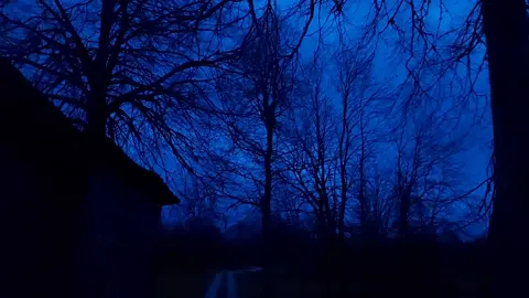 #fyp #bluehour 