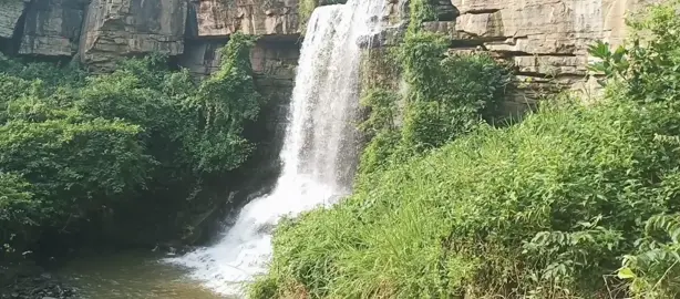 Bomfobiri Wildlife Sanctuary, located at Kumawu in the Ashanti Region of Ghana. come and enjoy Nature and take a shower under the waterfall. #waterfalls  #waterfall #sanctuary #LevelUpAfrica 