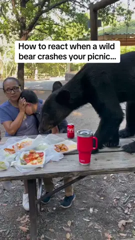 This family reacted to a wild bear encounter perfectly. Thankfully, everyone was fine. Via @Ángela Chapa #bear #bearencounter #fyp #wildlife #staycalm 