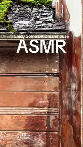Enjoy some gentle ASMR from the heaviest rain so far this season! Our new roof cannot come soon enough!! The old one is more moss than shingle at this point, and we are no longer interested in a living room swimming pool.  . . #leakingroof #rainasmr #homerenovation #homerestoration #roofleak 