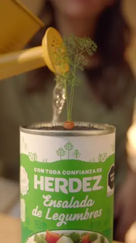 Encuentra en las latas de Herdez pequeñas semillas listas para ser sembradas y hacer un mundo más verde. #EtiquetaSemilla #EtiquetaConVida #PorUnMundoMásVivo
