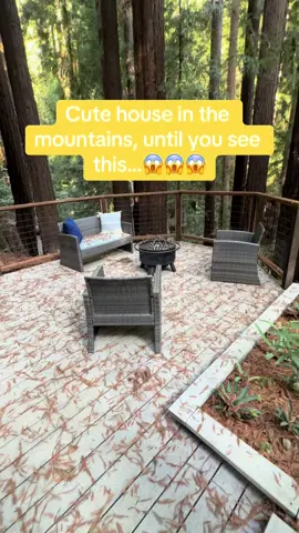 Cute house in mountains…. #mountainliving #realestate #housing #losgatos #bayarea #realtor #spooky 