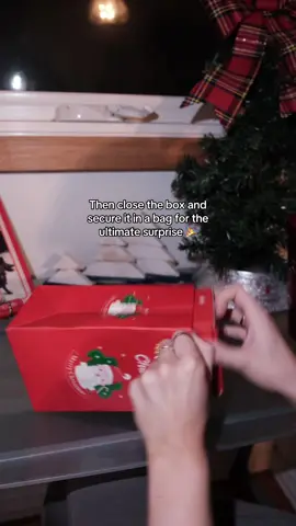 You’re family will love it! #christmas #moneypopupbox #surprise #money #prank #hollyjolly 