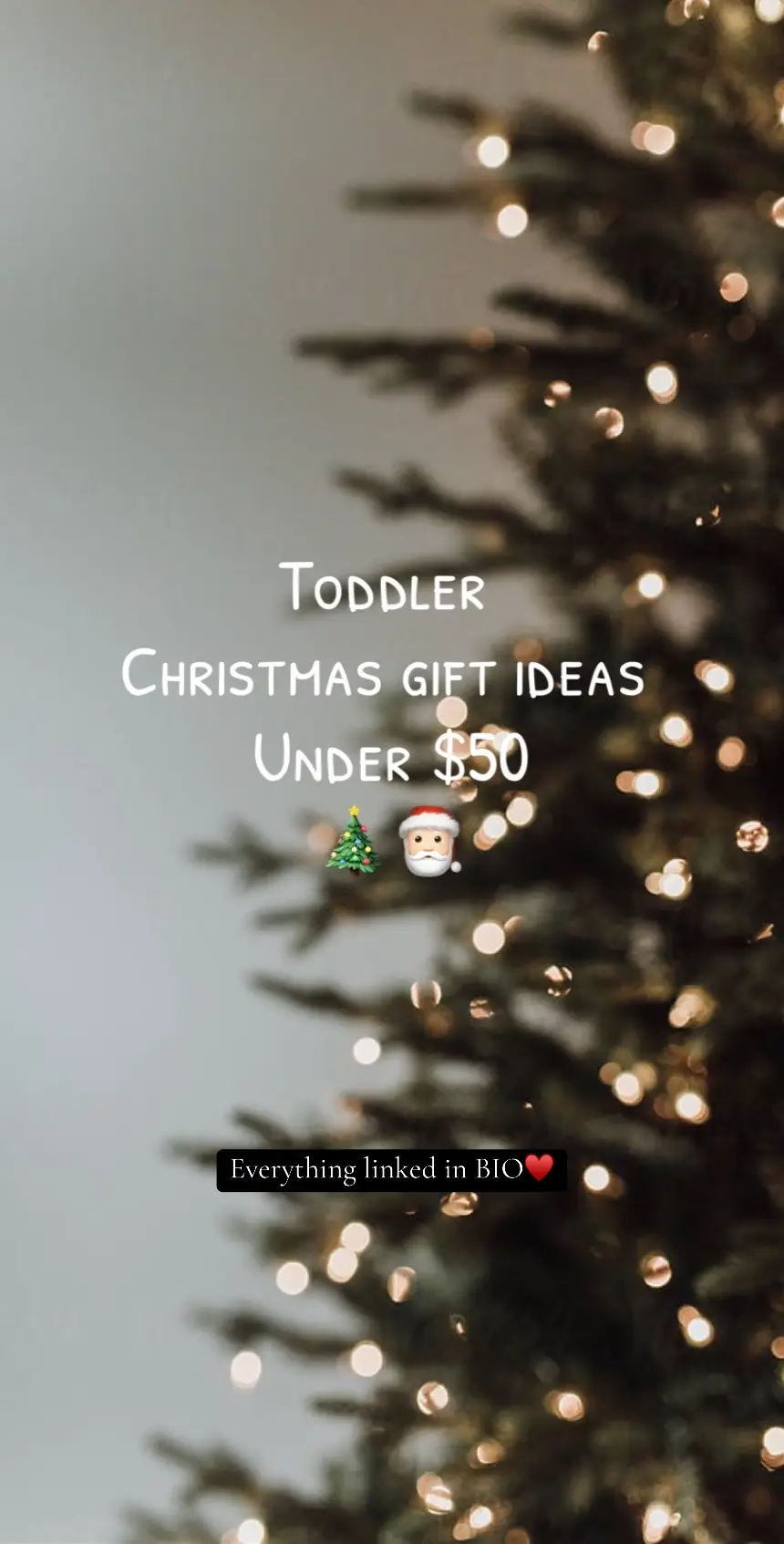 Part 2. #relateblemom #christmasonabudget #toddlerchristmasgift #christmasgifts #giftidea #toddlergiftideas 