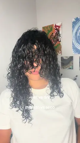 Curlt hair is so pretty #wetvsdry #mojadovsseco #hair #naturalhairtiktok 