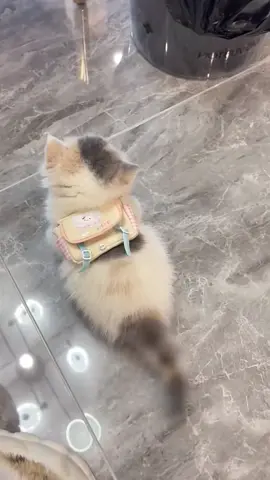 💓