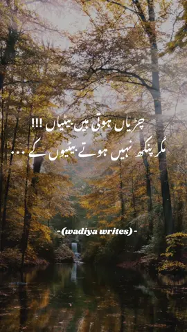 🥀🙂 #betiyaan #viral#tiktok#ruksati #maabeti#sadpoetry #maika #million #viralvideo #tioktokvideoviral #foryou #poetrystatus #fypシ゚viral 